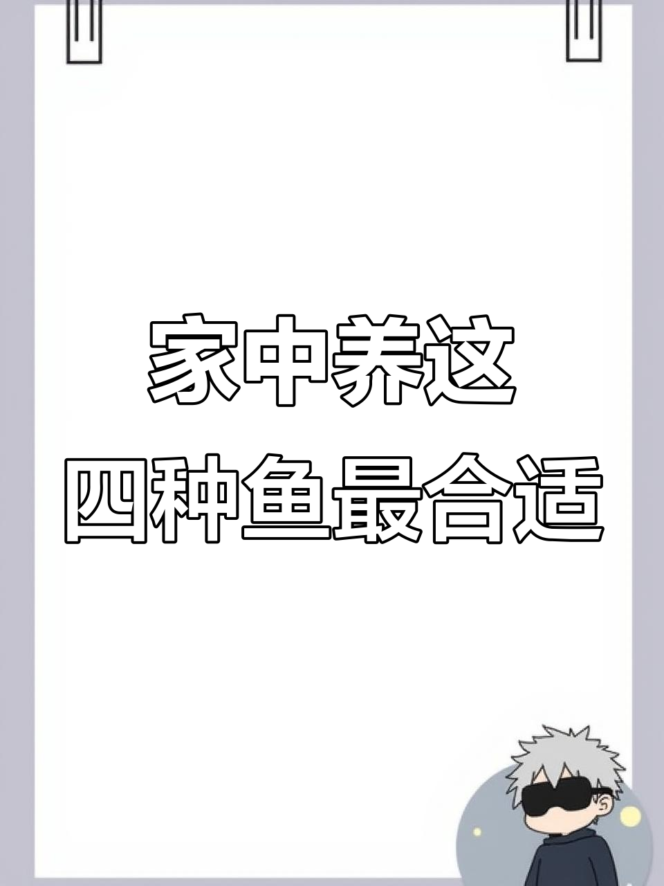 适合家养的四大风水鱼,财运事业双旺!
