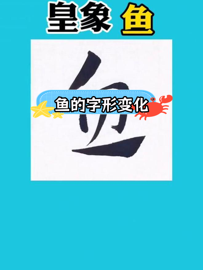 甲骨文到现代汉字的鱼字演变