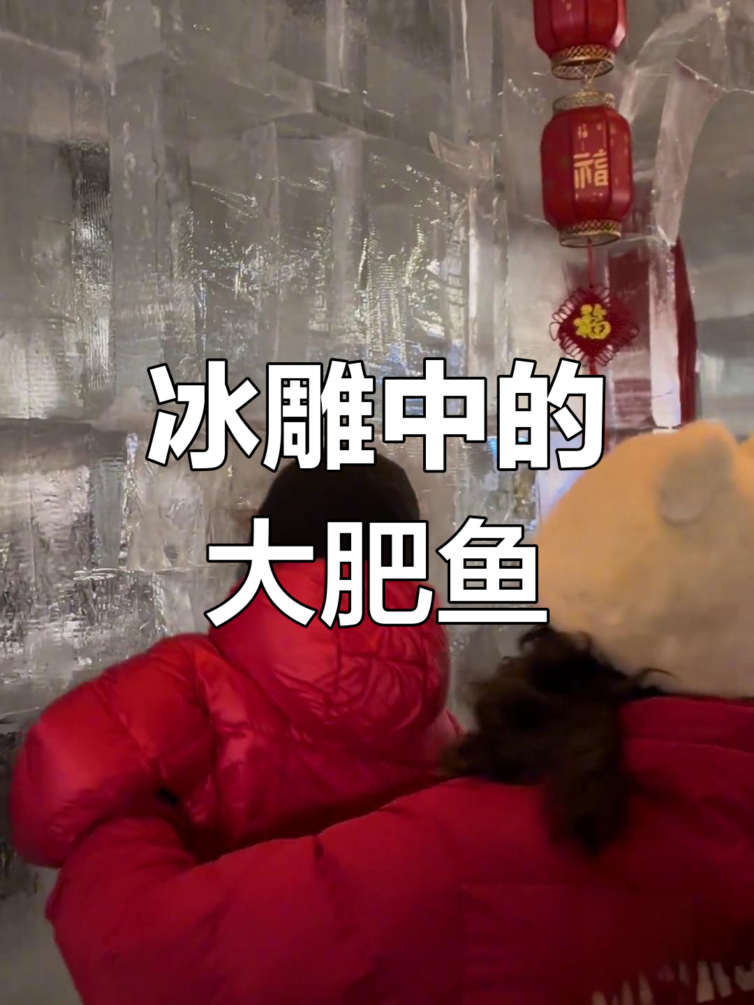 哈尔滨冰雕里的鱼,竟然有三斤!