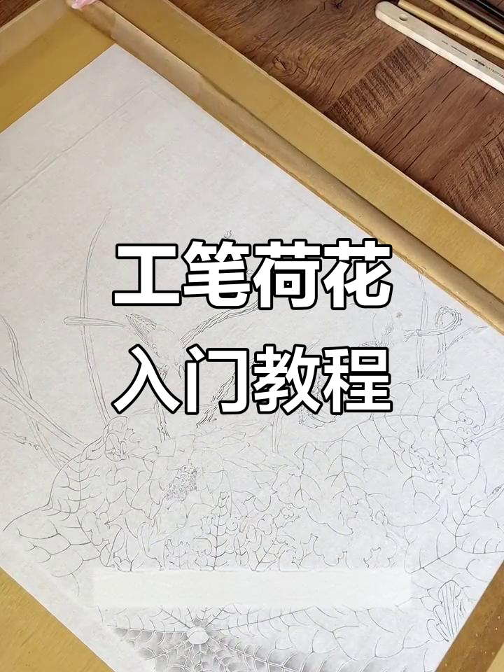 零基础学工笔画,轻松掌握荷叶与小葫芦的绘制技巧