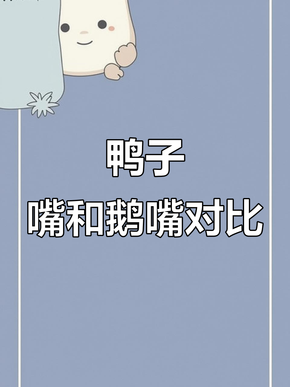 鸭子和鹅嘴的区别,看看这大嘴巴!