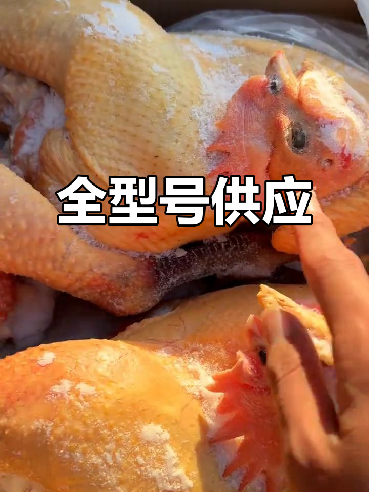 品质保证,货源充足,黄黑爪型一应俱全