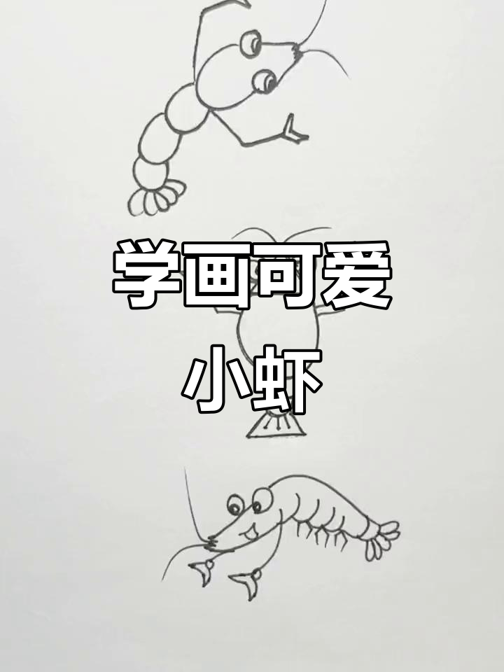 轻松学画各种虾,简笔画教程来啦!
