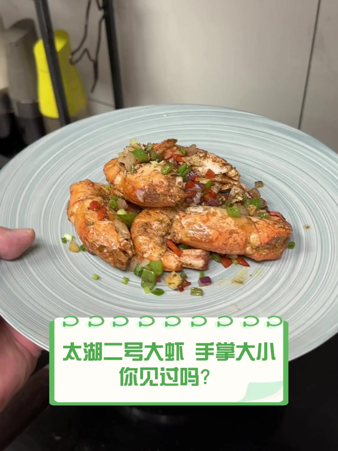 太湖二号大虾,手掌大小,你见过吗?