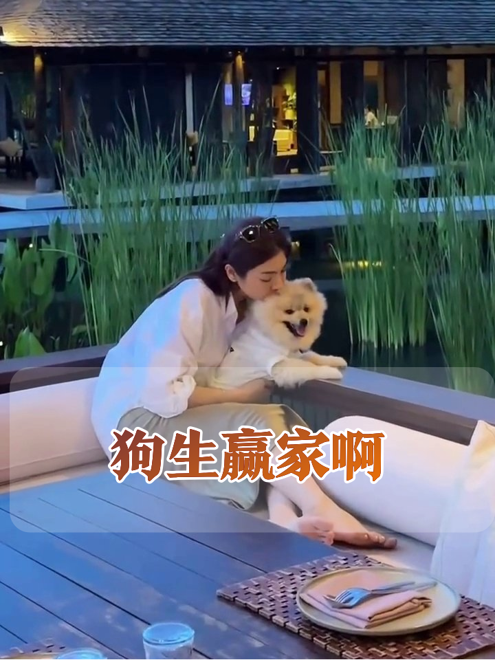 女子抱着爱犬享惬意时光,小狗笑出表情包萌化了