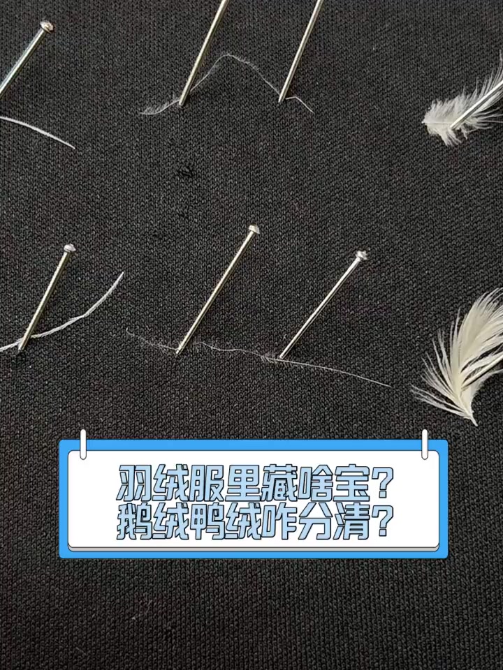 羽绒服里藏啥宝?鹅绒鸭绒咋分清?