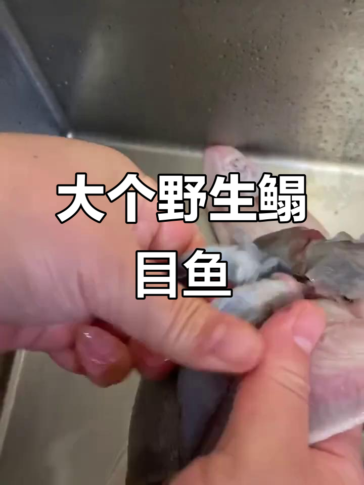 野生大蛤蟆比目鱼,香煎清蒸红烧任你选