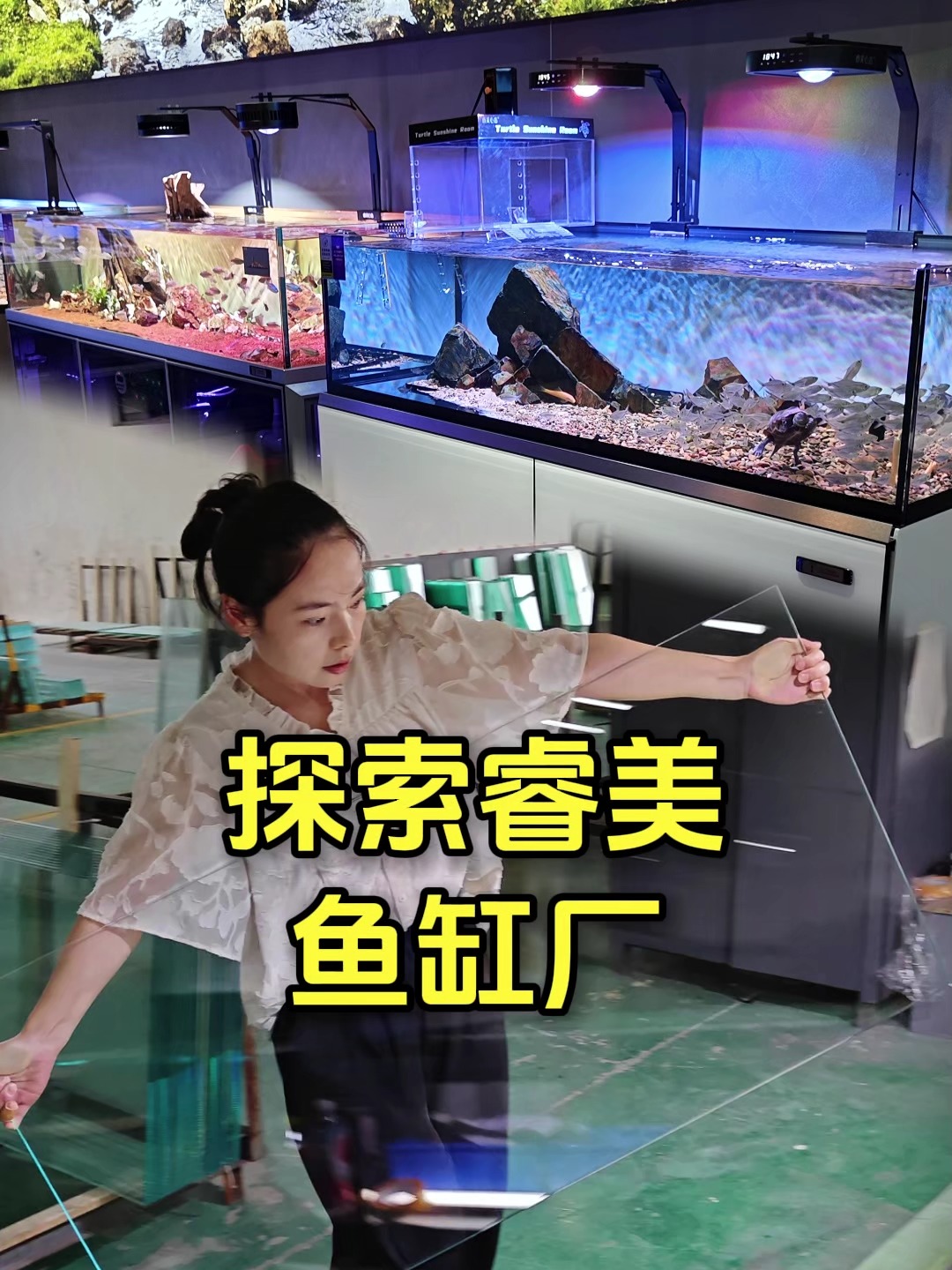 探索三万多平米的睿美鱼缸厂，太震撼了