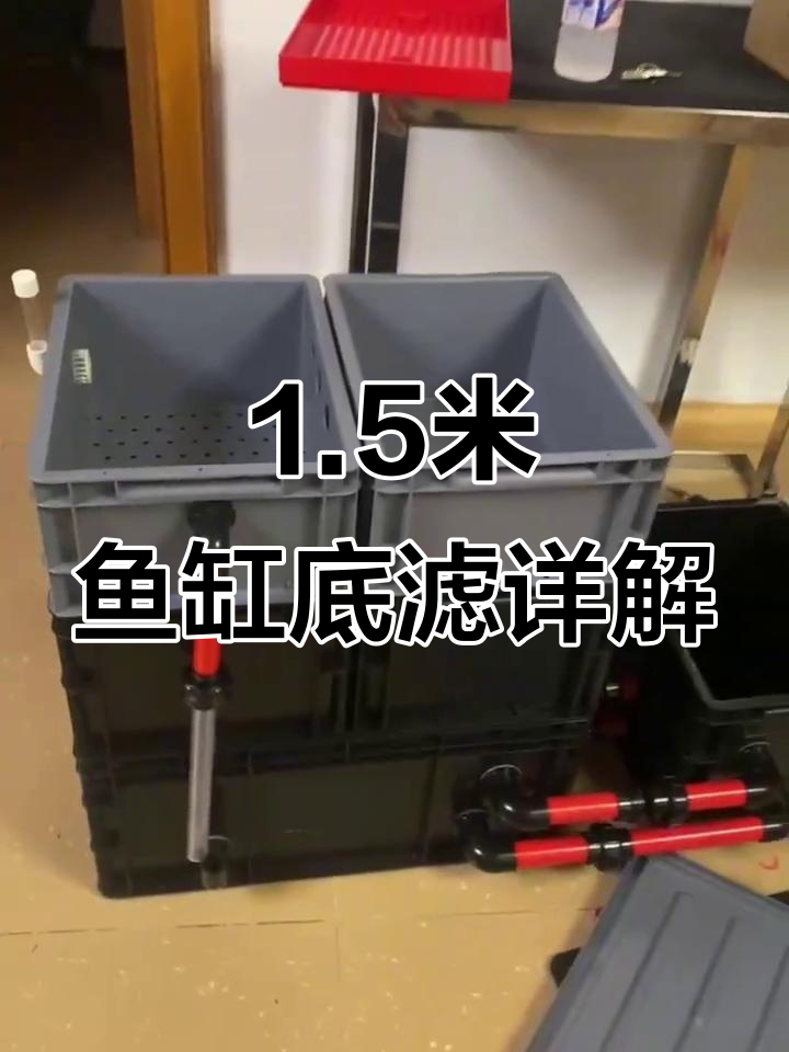 1.5米鱼缸底滤全解析:水泵、干湿分离板一应俱全