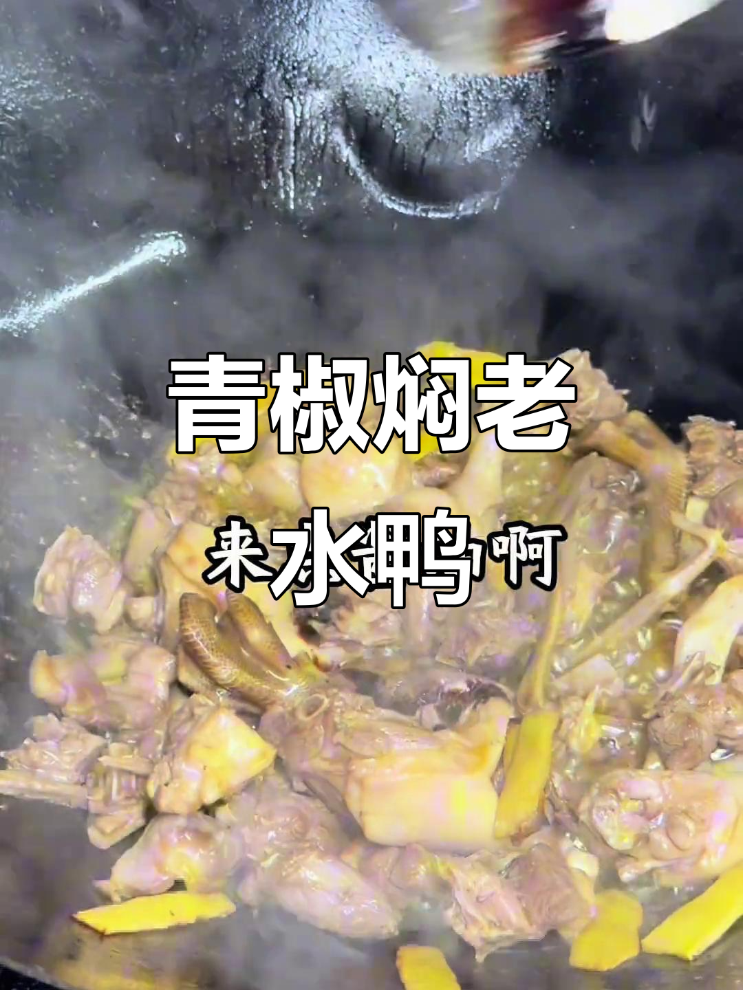 湘菜经典青椒焖老水鸭，鲜香四溢让人无法抗拒