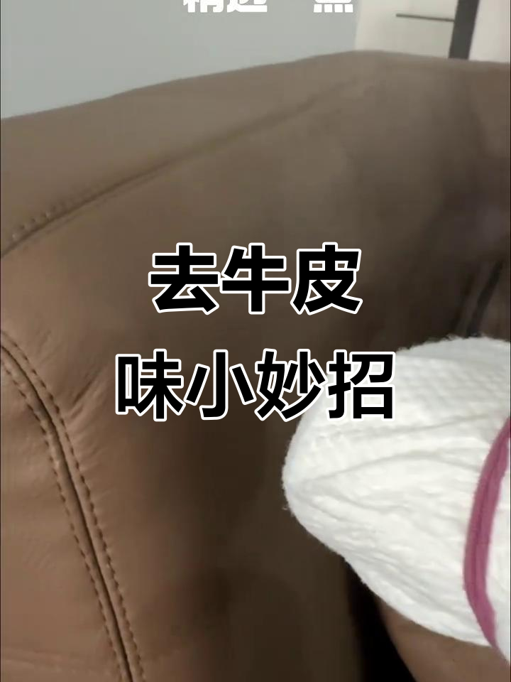 蒸汽+牛奶去异味,打造清新真皮沙发