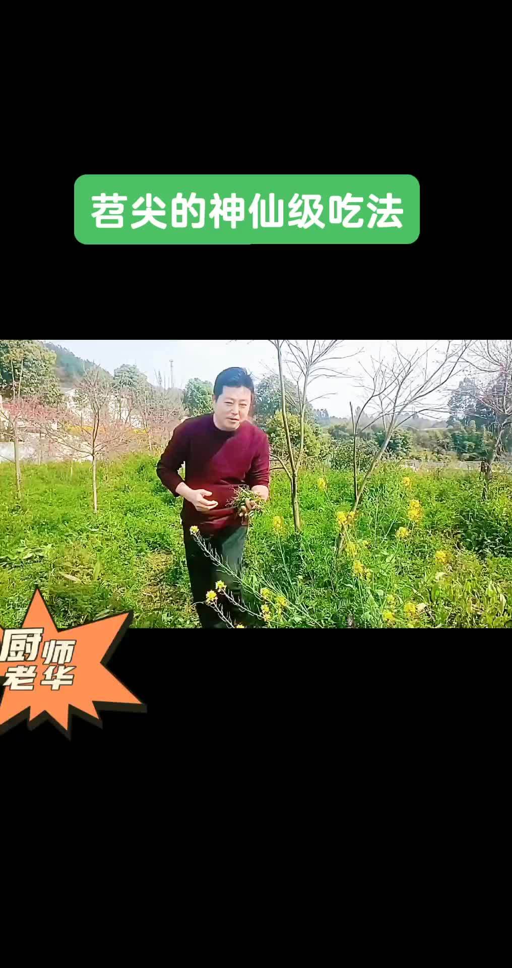吃苕菜不能喝酒,你知道吗?同城热点 同城美食 地方特色美食 抖音美食推荐官 老伙伴重庆老火