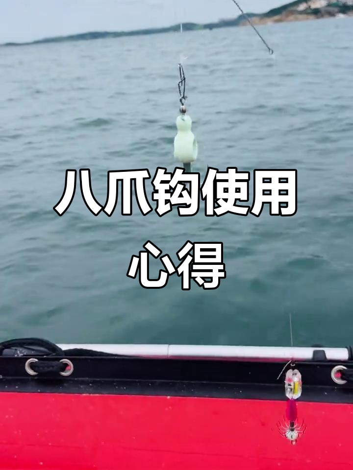 八爪钓组分享与吃法技巧,轻松捕捉新鲜八爪鱼