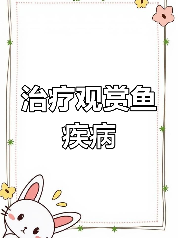 锦鲤白膜蒙眼、烂身症状治疗法