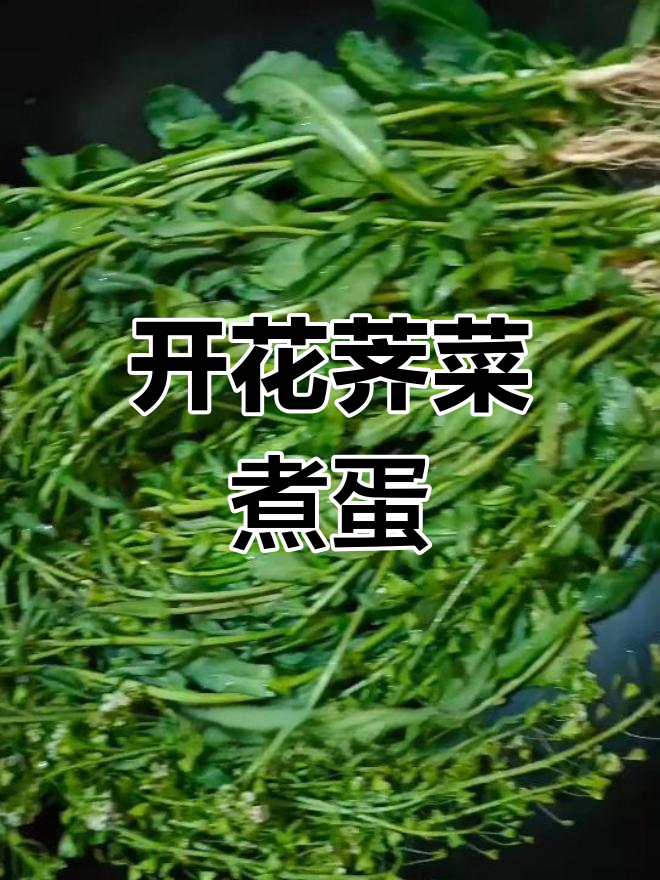 荠菜开花煮鸡蛋,做法超简单!