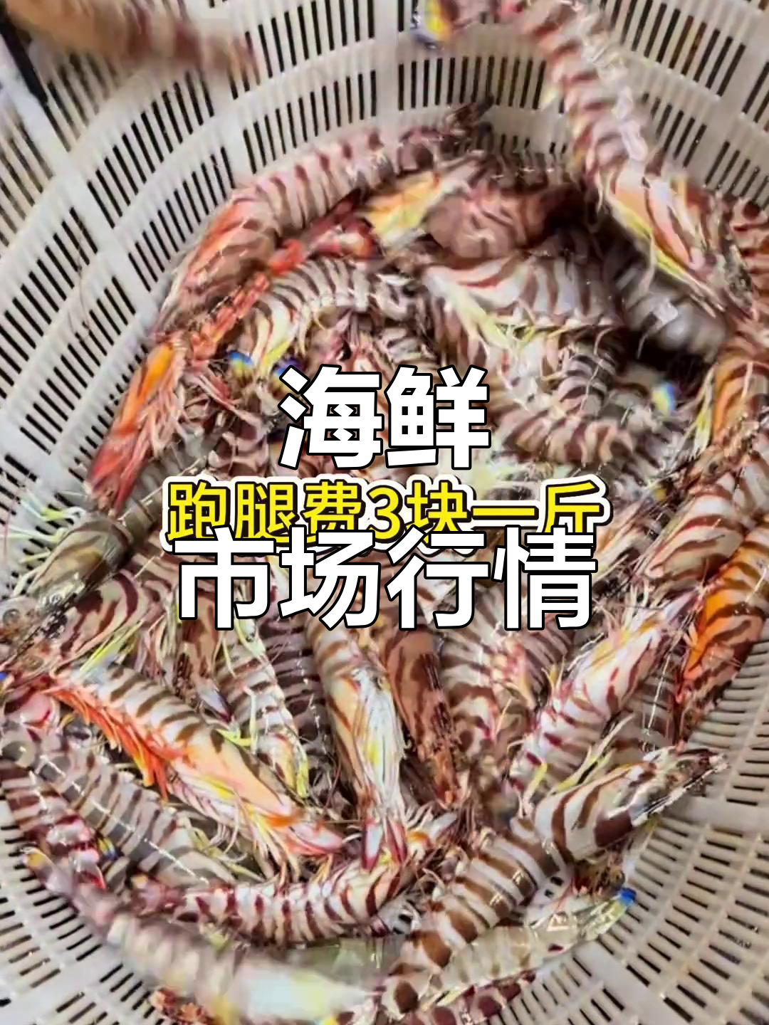 2026年1月2日,广东海鲜市场价格大揭秘!