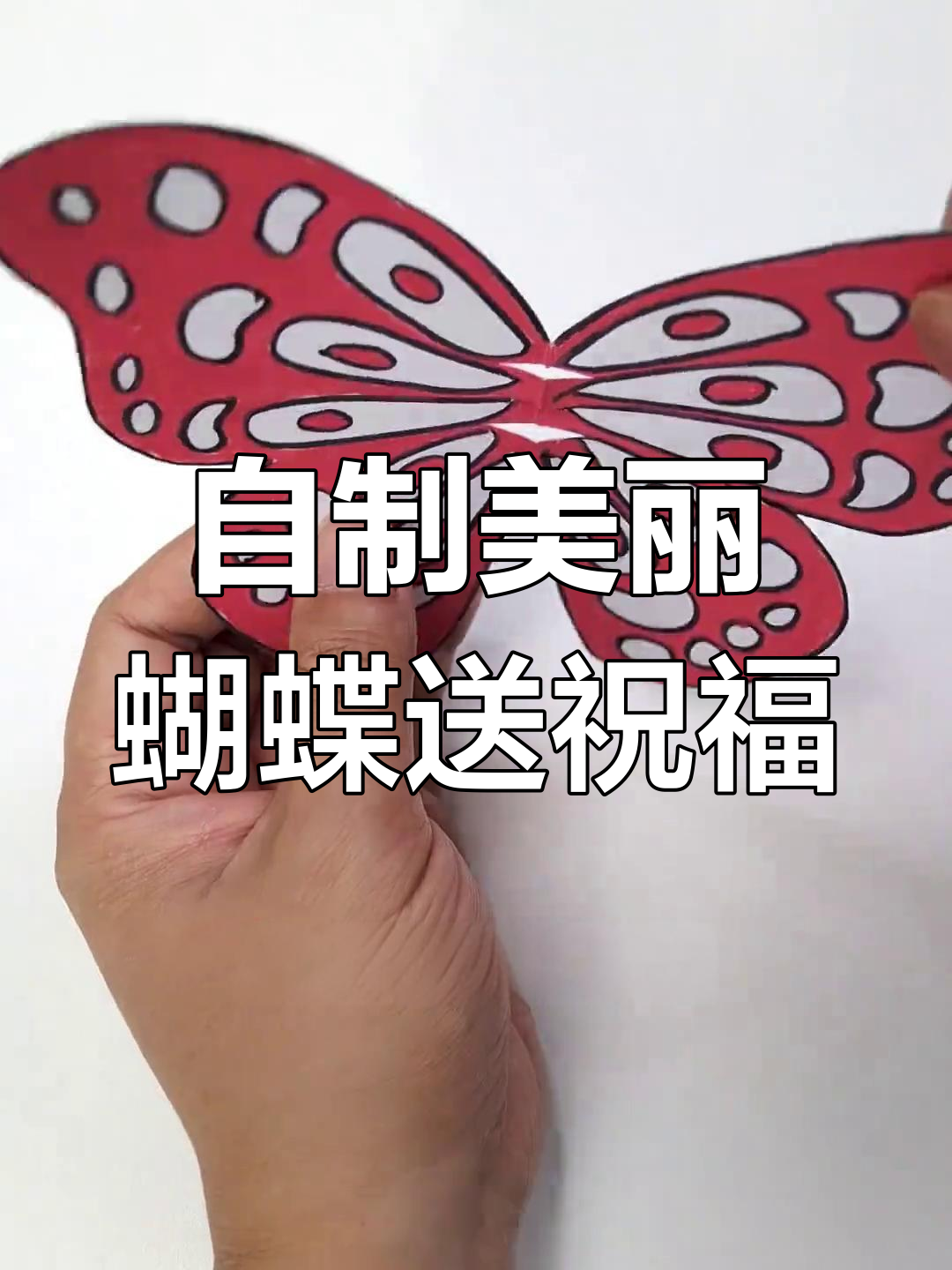 剪纸蝴蝶送祝福,简单又有趣的手工创意