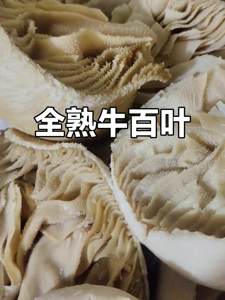 50元一斤，牛百叶全熟美味，批发零售任选！