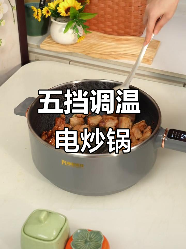 梅特德菲电炒锅,五档控温全能厨房神器