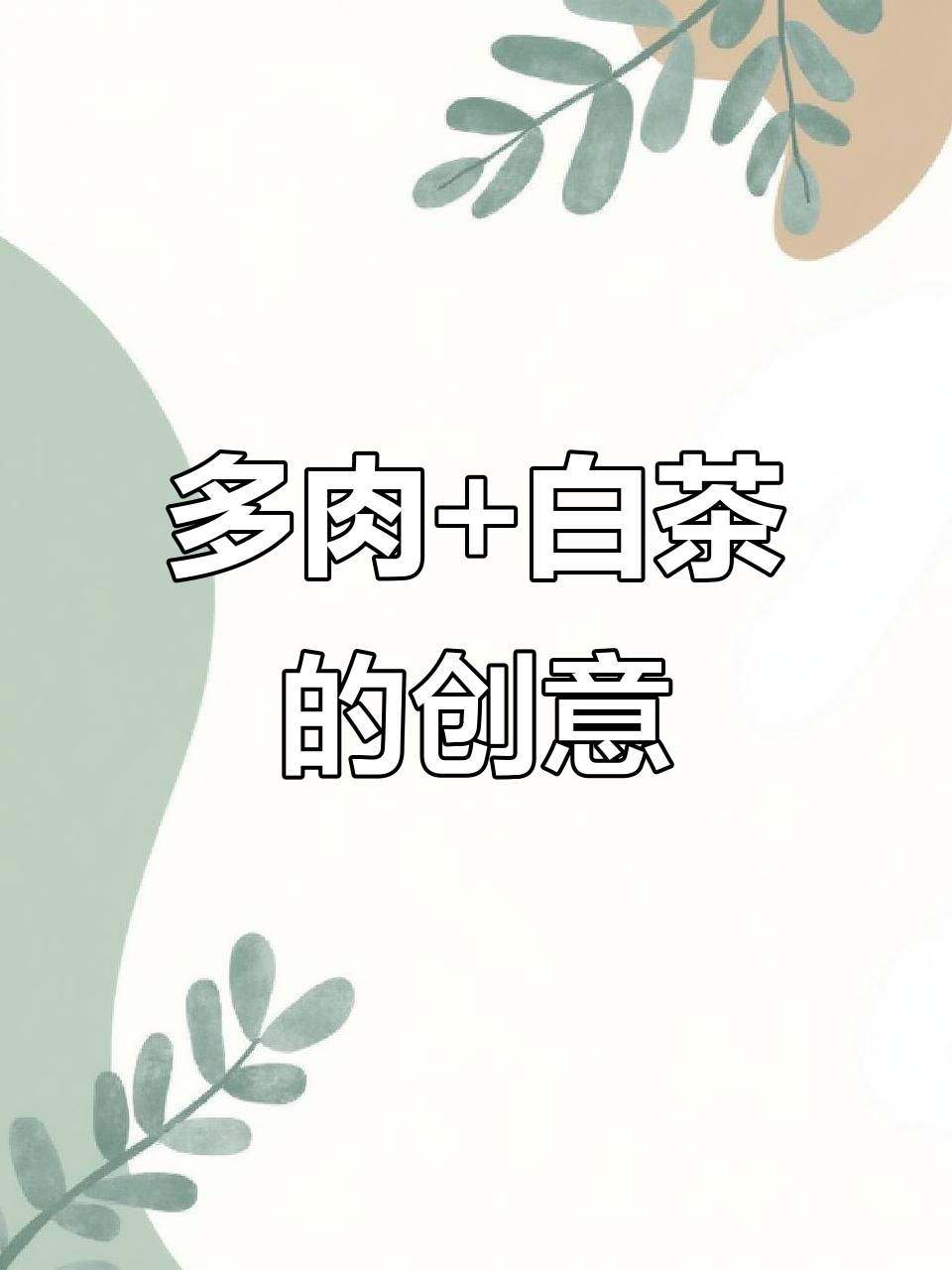 学员寄来的多肉与白茶，手捧组合超有趣