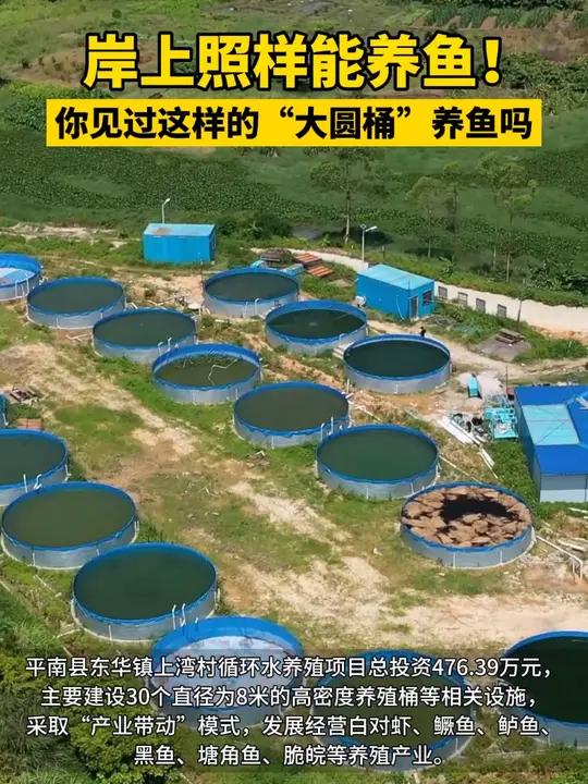 你见过这样的“大圆桶”养鱼吗 贵港 圆筒养鱼 水产养殖