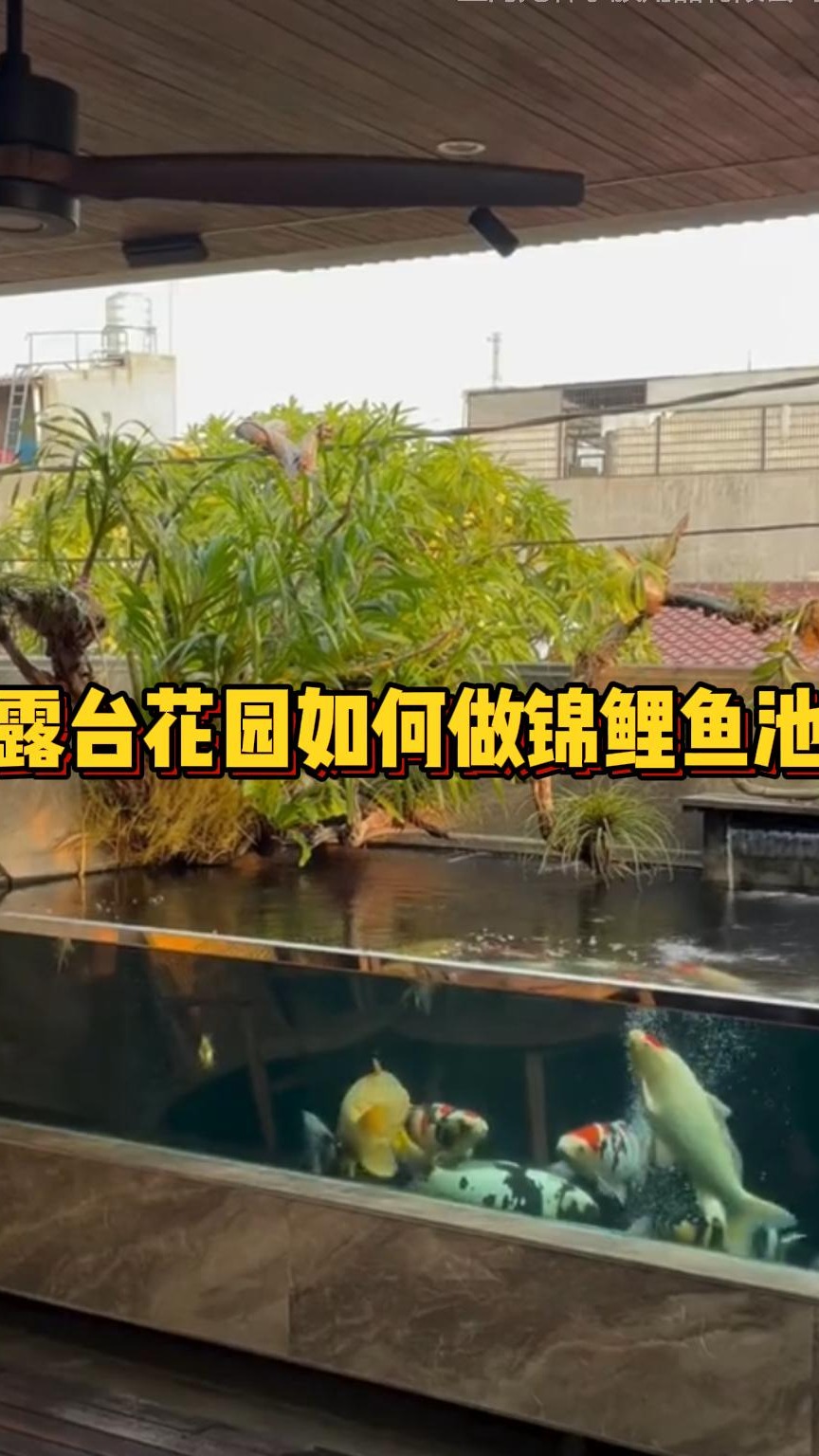 露台花园如何做锦鲤鱼池