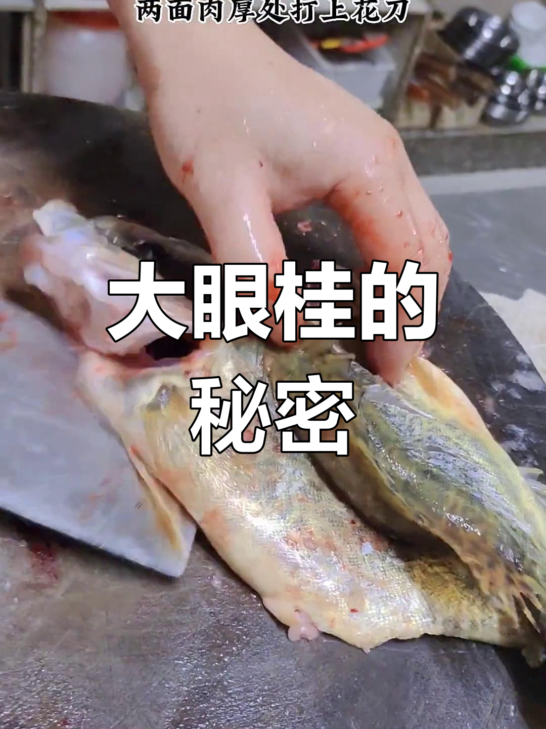 野生大眼桂,肉质鲜美堪比石斑,点赞破千揭秘鱼生做法