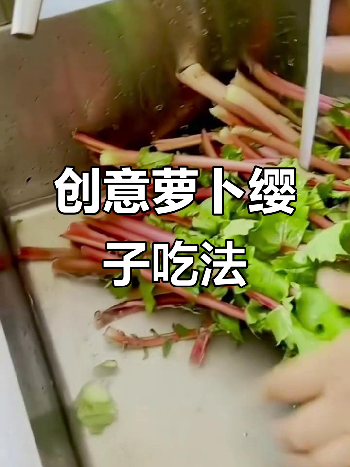 萝卜缨子新做法,炖豆腐、做馅都超好吃