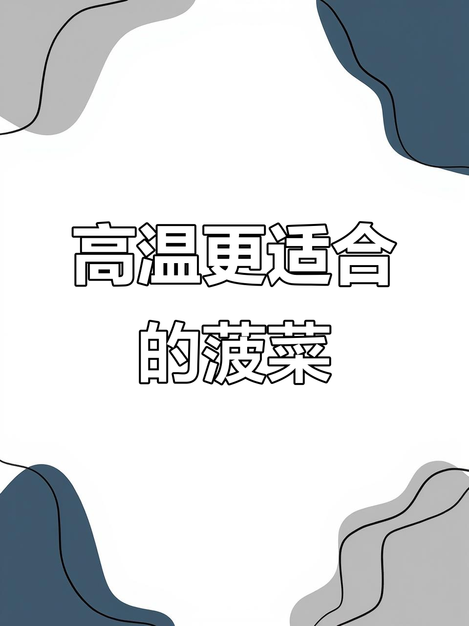 耐热菠菜品种推荐,高温下生长更旺盛