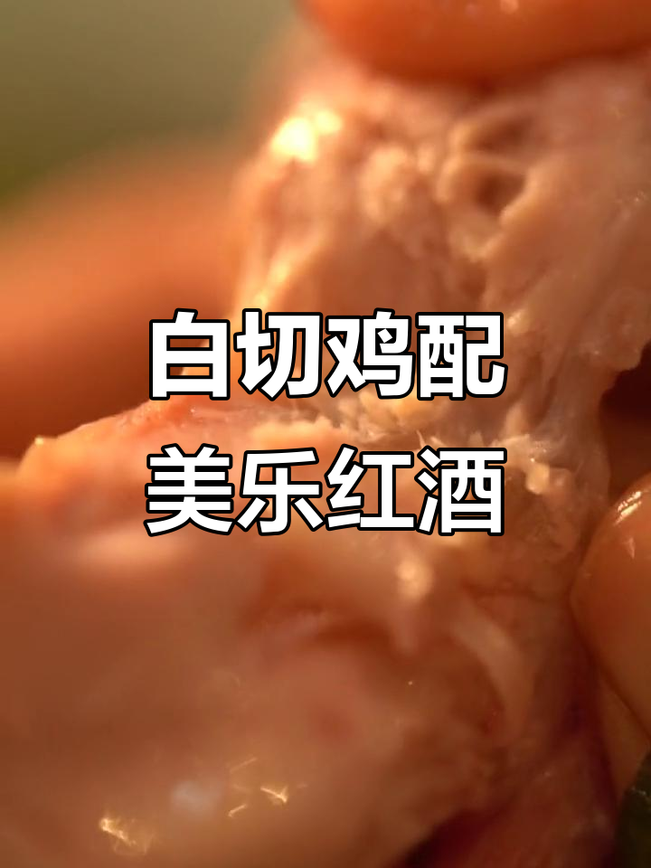 葱油白切鸡配美乐干红,鲜嫩美味与酒香相融