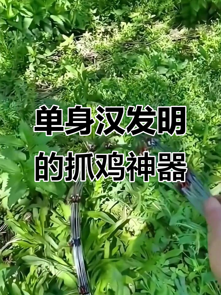 单身汉大哥发明鸡鸭鹅绊脚装置,轻松抓捕小动物