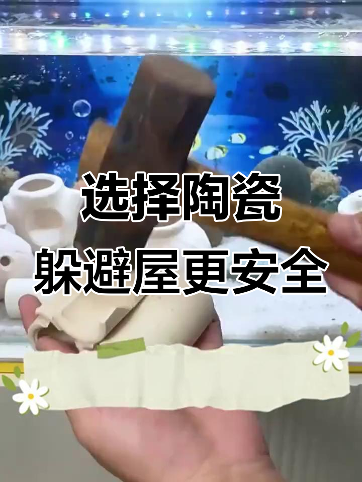 鱼缸躲避屋的利与弊,选对材质才能保护水质