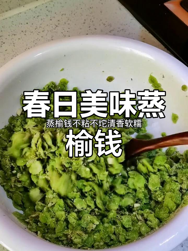 春季限定,蒸榆钱软糯清香,口感独特,错过可惜!