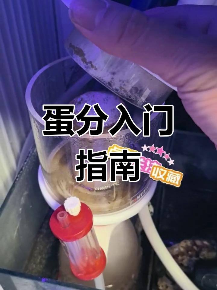蛋分是什么?原理与使用方法全解析!