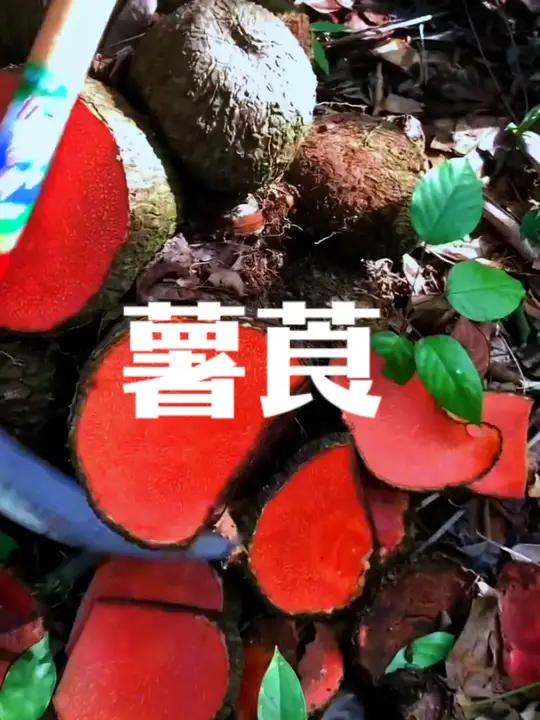你所浪费的今天,是昨天死去的人奢望的明天,你所厌恶的现在,是未来的你回不到的曾经……一起识