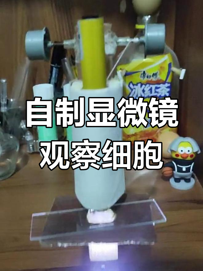 自制高倍显微镜,揭秘小番茄果肉细胞的奇妙世界