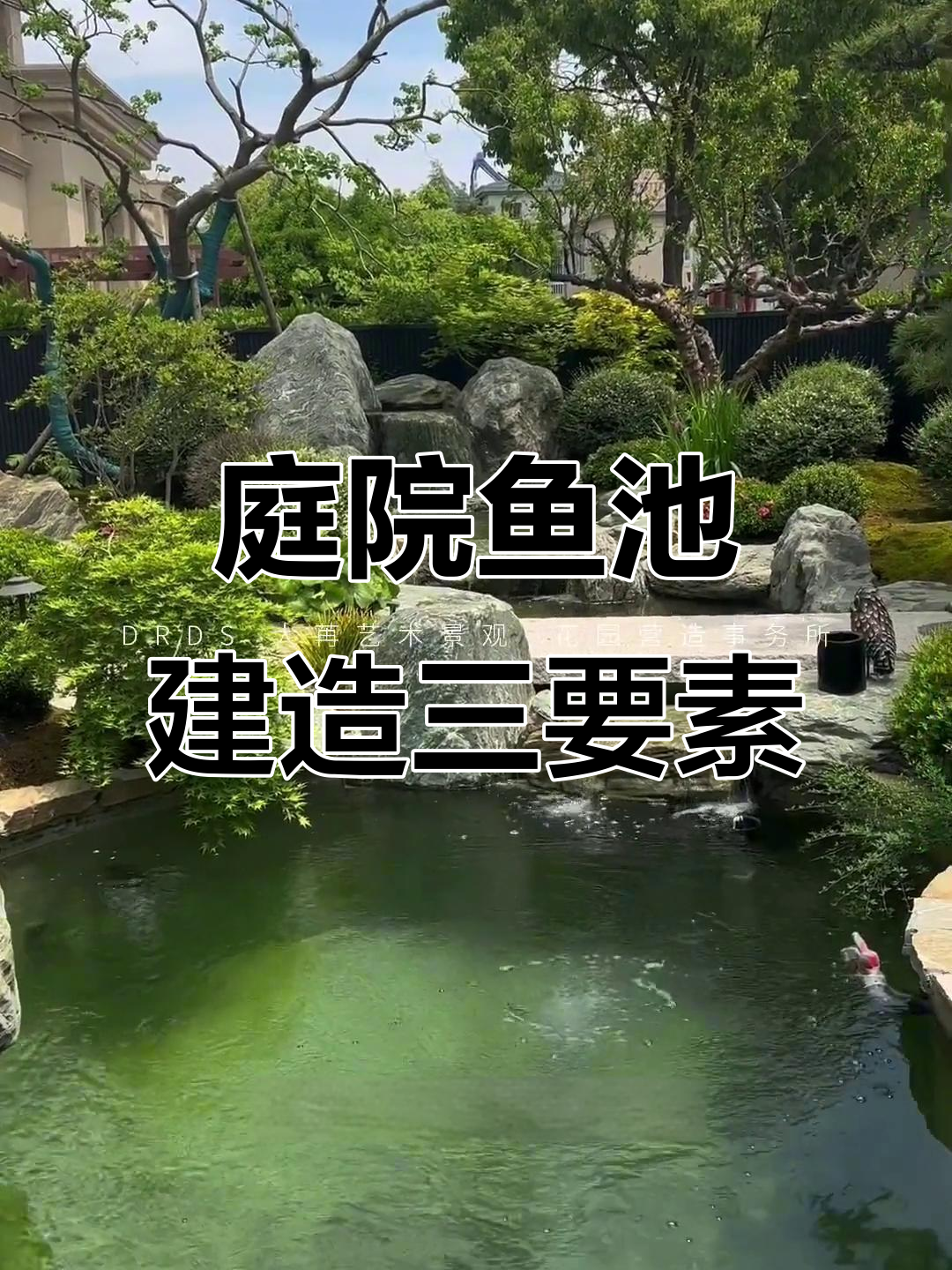 打造庭院鱼池的三大要点,轻松搞定水景设计