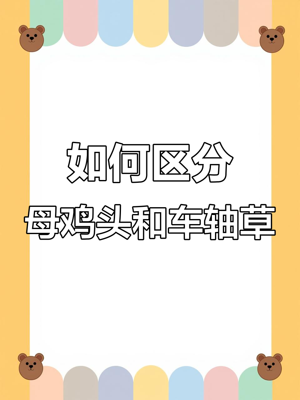 南京人爱吃的母鸡头,如何分辨草头与车轴草