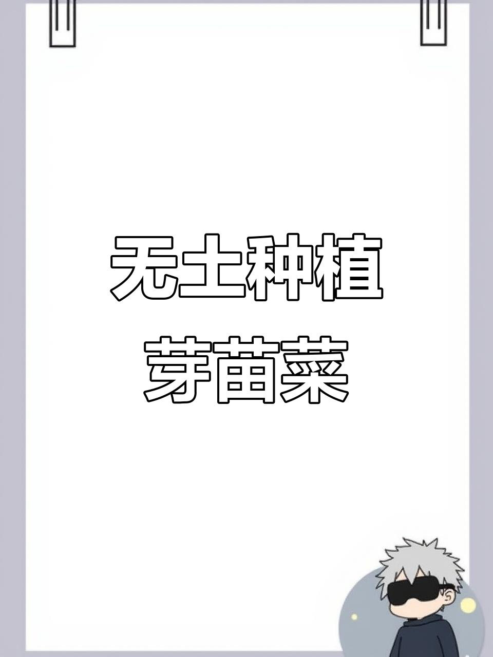 轻松学会无土栽培芽苗菜，一周就能吃到自己种的蔬菜