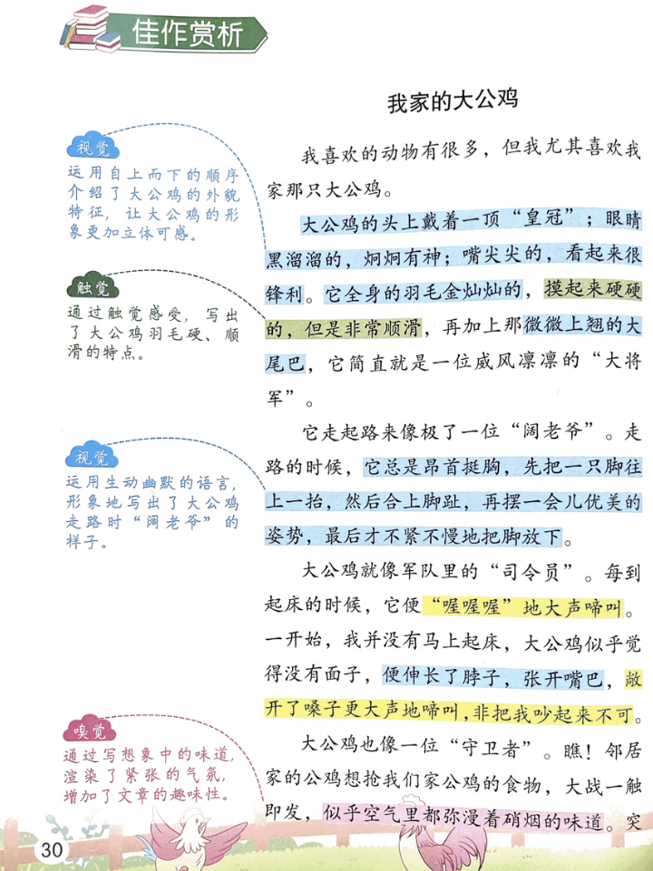 五感法写作文-《我家的大公鸡》