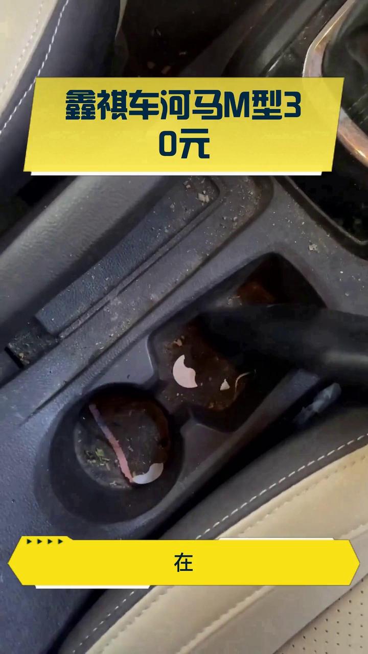 鑫祺车河马M型30元