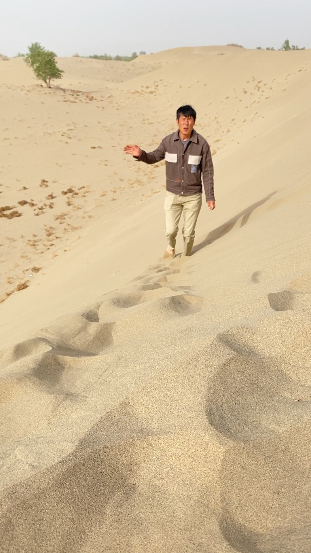 号称新疆的沙漠果原来是这个样子