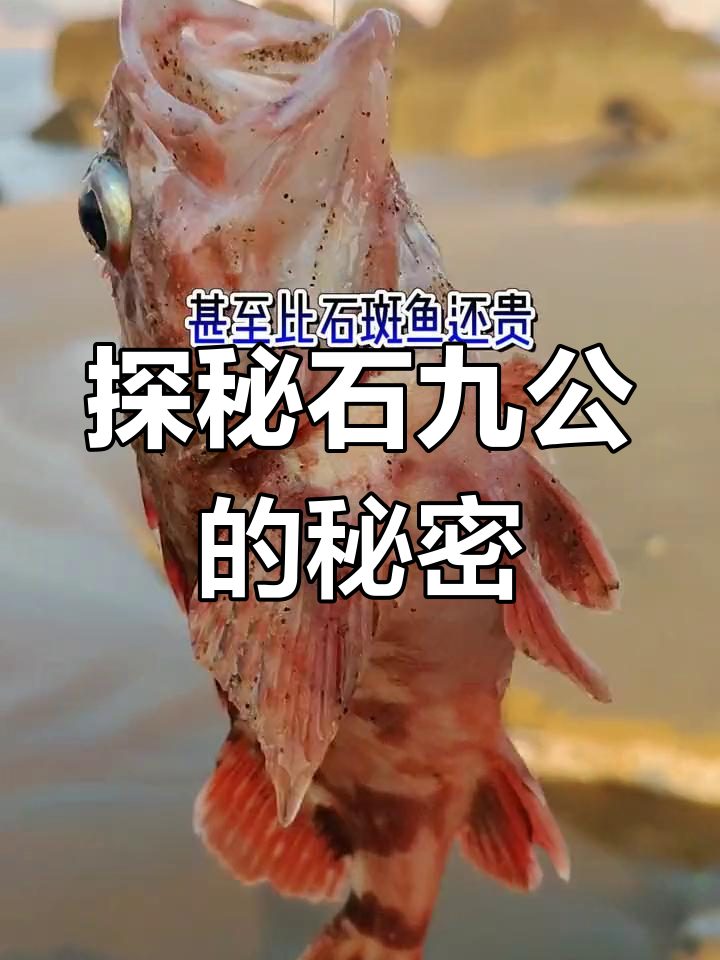 石九公:从干烧到名贵海鲜,揭秘二肠鱼的独特身世