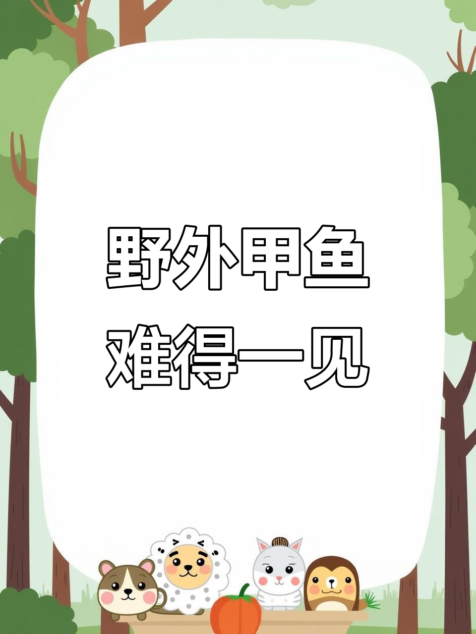 清澈溪流钓到野生甲鱼，底板白嫩爪子蜡黄超值钱
