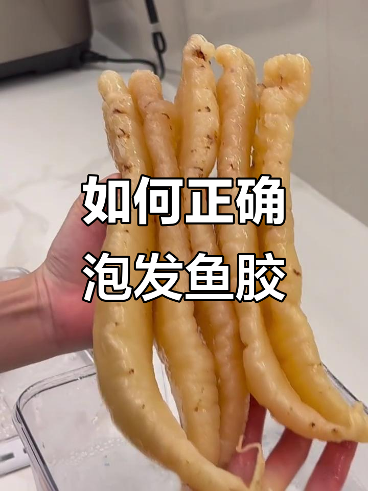 鱼胶泡发技巧大揭秘，轻松做出肉质饱满的刺嘴胶