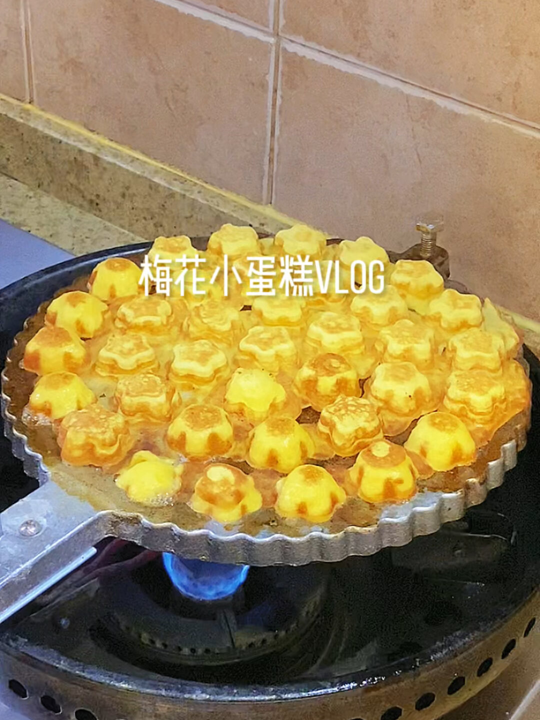梅花小蛋糕是你的童年回忆嘛!