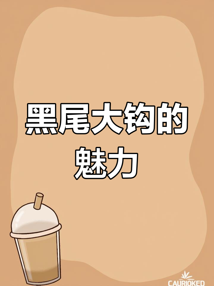 黑尾大钩:群游效果极佳,温和又强健的小型观赏鱼