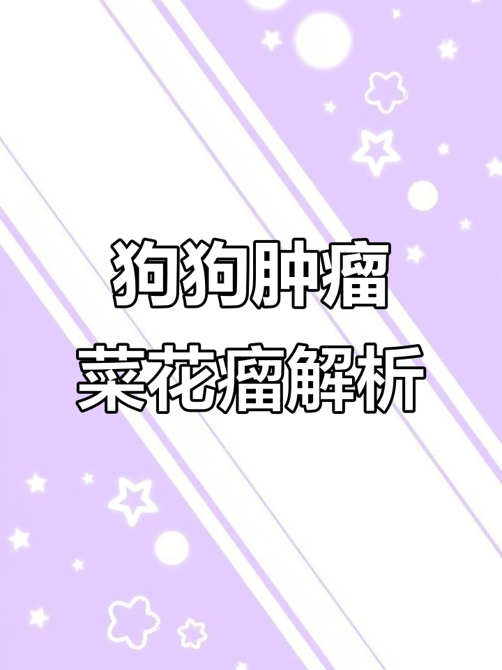 狗狗菜花瘤的真相与应对方法