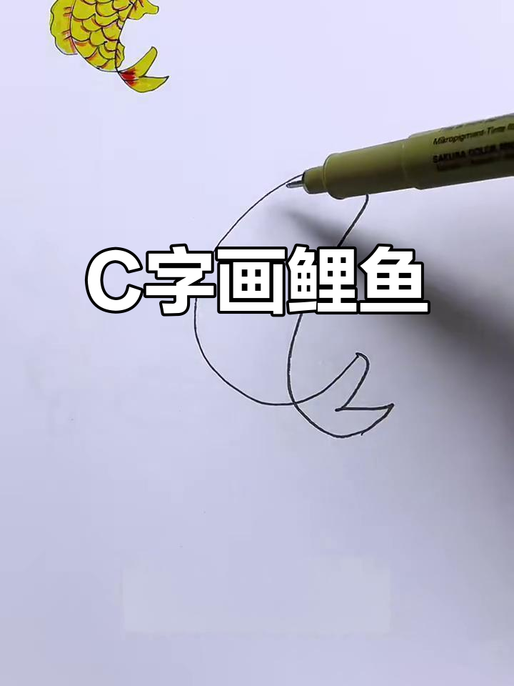 用字母C轻松画出可爱鲤鱼,简单又好玩