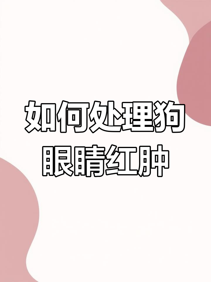 狗狗眼角息肉怎么办?樱桃眼的治疗方法与护理技巧
